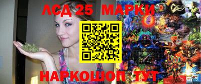 apvp Можга