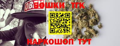 apvp Можга