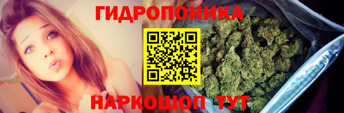 Каннабис THC 21%  Бошки Шишки семена  Вход с VPN  Владимир 